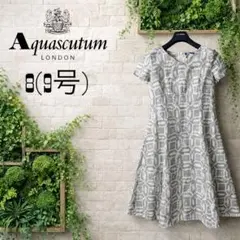 クリーニング済み　アクアスキュータム　麻混ワンピース　サイズ8(9号相当)美品のサムネイル