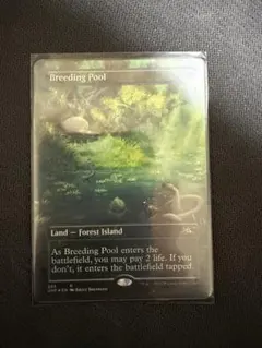 MTG Torgal, Clive's Companion プロモ 非FOIL - メルカリ