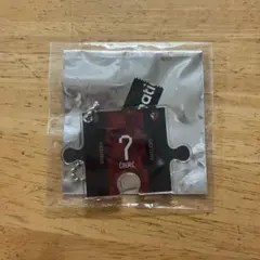 鹿島アントラーズ　チャヴリッチ　パズルアクキー