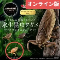 いきもの大図鑑アドバンス　水生昆虫タガメ　羽化直後色　オンライン版
