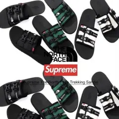 supreme × ザノースフェイス トレッキングサンダル US10 vansのサムネイル