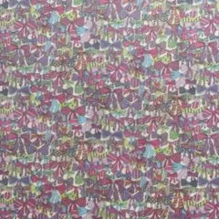 *えい*➡プロフィールをご覧ください様 リクエスト 2点 まとめ商品