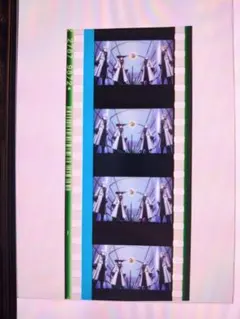 みぃ様 リクエスト 4点 まとめ商品