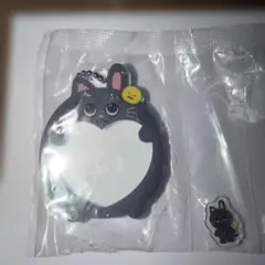 ウォンビン アイドル