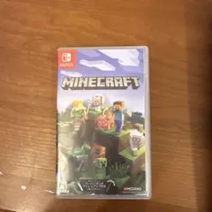 Minecraft Nintendo Switch ソフト