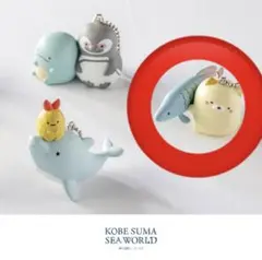 すみっコぐらし　神戸須磨シーワールド限定　ピラクルとねこ　ガチャガチャ