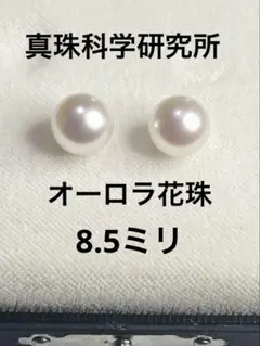 2026年最新】オーロラ花珠真珠 8-8.5mm 花珠真珠の人気アイテム - メルカリ