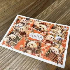 マルチーズ ポストカード ハンドメイド 切手風 メッセージカード 犬