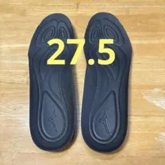 MIZUNO ZEROグライド　インソール　27.5