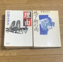 宮部みゆき　理由　地下街の雨