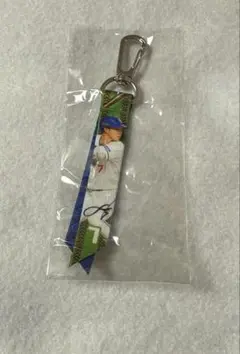 福永裕基 ミニボンフィン