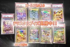 【ALL PSA10】 ブイズ SAR テラスタルフェス セット販売