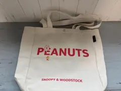 リンネル付録　PEANUTS SNOOPY ビッグバッグ