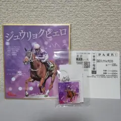 レア】ジュウリョクピエロ グッズ - メルカリ