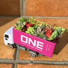 そのまま飾れる❤️多肉トレーラー❤️多肉植物寄せ植え❤️初心者向け