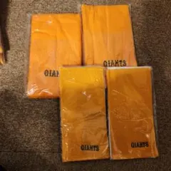 Item thumbnail for item 98935b34-e051-4617-8d19-9c77df1ce37e