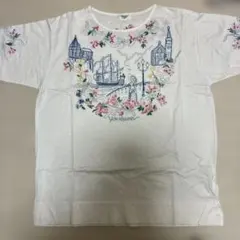 Item thumbnail for item 16e4c225-b9bb-4ea3-993d-cb0a77d38b46