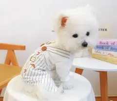 美品＊ドッグウエア＊サロペット＊つなぎ♪3〜5キロ