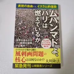 ムハンマドよ、パリは燃えているか