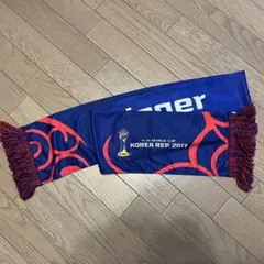 お値下げ！ サッカー U-20W杯 韓国大会 マフラー