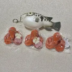 イイダコ3匹(リアルキッチンシリーズ)　フグのキーホルダー(ぷにぷに鮮魚)セットのサムネイル