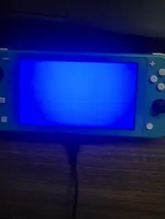 ジャンク品!Nintendo Switch Lite 本体