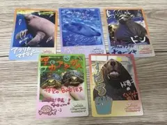 鳥羽水族館 コレクションカード＊5枚セット（爬虫類・両生類系）匿名