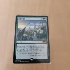 風景の変容