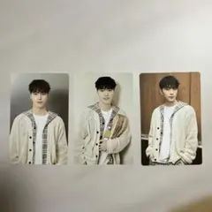 SEVENTEEN CARAT LAND DINO 3枚セット