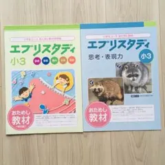 ほぼ未使用　Z会 小3 3年生 エブリスタディ 思考力 表現力 12ヶ月セット 2025年最新】Z会 小3 思考の人気アイテム - メルカリ