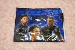 ガンバ大阪 クールタオル