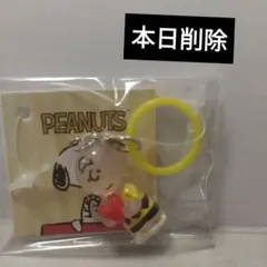 スヌーピー　チャーリーブラウン　めじるしアクセサリー