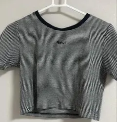 ストライプ クロップドTシャツ 半袖