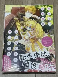 ある日、お姫様になってしまった件について 1巻