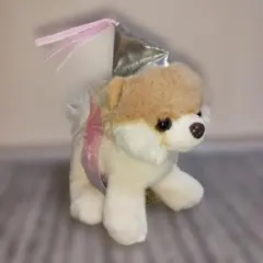 FONTAINE DRESSY PET/シーズー ぬいぐるみ箱付き - メルカリ