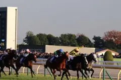 【はるき様　専用】カランダガン　フォトＬサイズ７枚セット