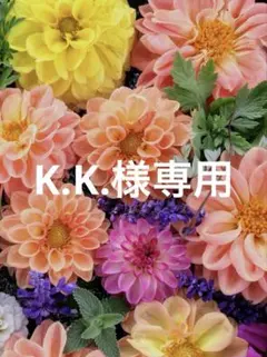 K.K.様専用