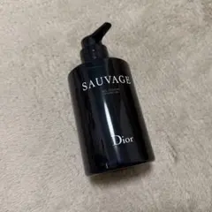 Item thumbnail for item 89a18960-06c1-4c23-9ea3-454991b7b7c8