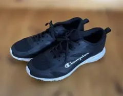 Item thumbnail for item 8a72815a-ca06-4288-b7b1-9f491f0c13d1