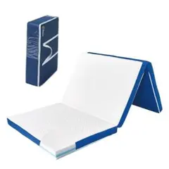 ShopJapan トゥルースリーパープレミアリッチ 三つ折りタイプ　セミダブル