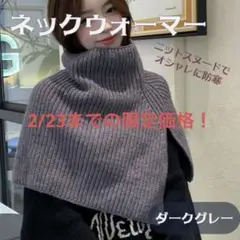 【23日まで限定】タートル ニット ネックウォーマー ケープ スヌード つけ襟