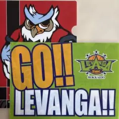 レバンガ北海道　コンサドーレ札幌　クリアファイル