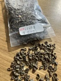 メルーとカリィ様 リクエスト 2点 まとめ商品