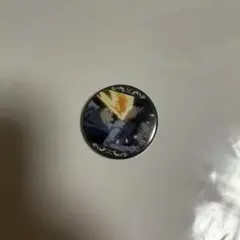 家庭教師ヒットマンREBORN!　沢田綱吉　ガチャ　缶バッジ　XANXUS