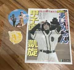 あいみょん サーチライト甲子園 ビニールバッグ - メルカリ