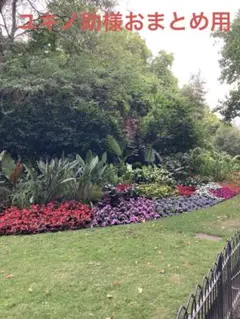 ユキノ助様専用