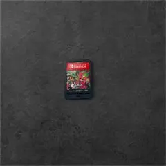 スプラトゥーン２24時間限定値下げ即買いOK