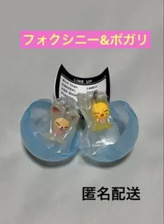 SKZOO めじるしアクセサリー　ポガリ　フォクシニー