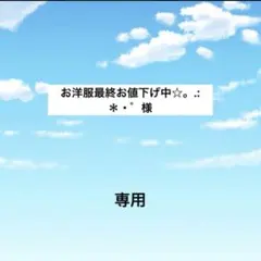 アメステお洋服最終お値下げ中☆。.:＊・゜様