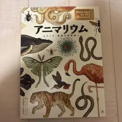 すやすや様 リクエスト 2点 まとめ商品